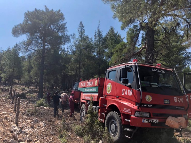 Düşen yıldırım yangına neden oldu; 2 hektar orman zarar gördü