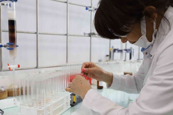 NEÜ'den büyük başarı!