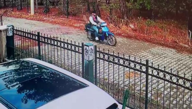 Örümcek adam gibi hırsız