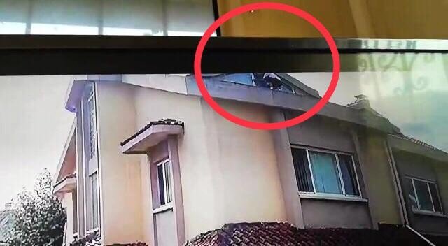 Örümcek adam gibi hırsız