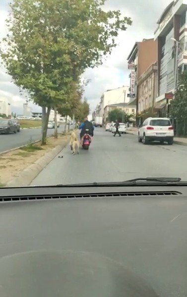 Köpeği motosikletine bağlayarak götüren şahsa tepki