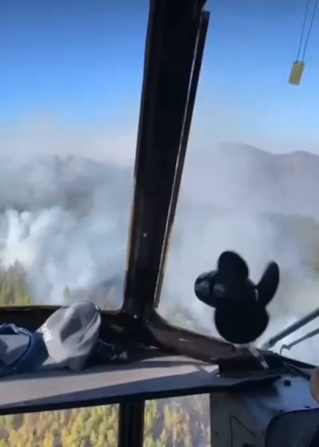 Alanya'da orman yangını çıktı! Havadan ve karadan müdahale ediliyor