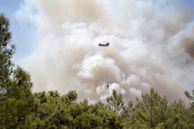 Mobil Mutfak Tırı yangın bölgesinde