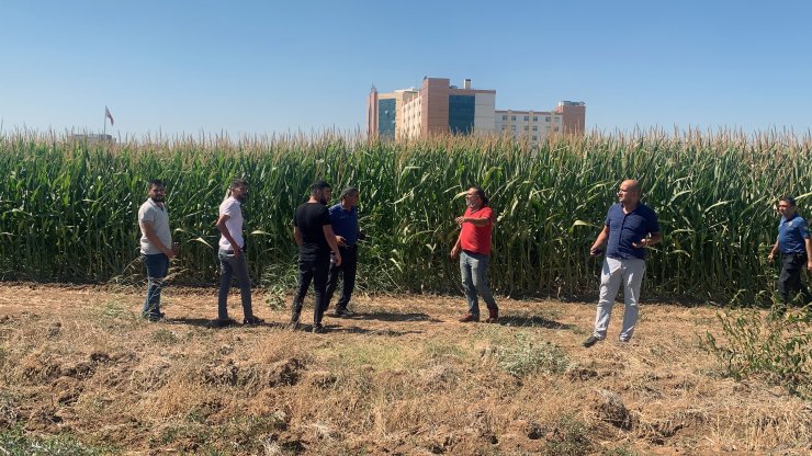 Sağlık raporuna götürülürken kaçan şüpheliyi takip eden polis memuru, kazara kendini vurdu