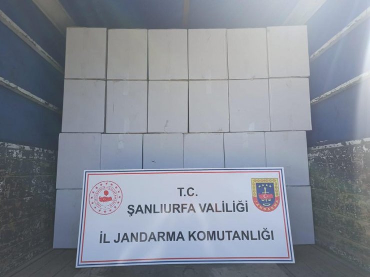 1 milyon 600 bin boş makaron ele geçirildi