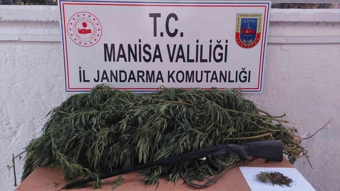 Manisa’da uyuşturucu operasyonları: 1 kişi tutuklandı