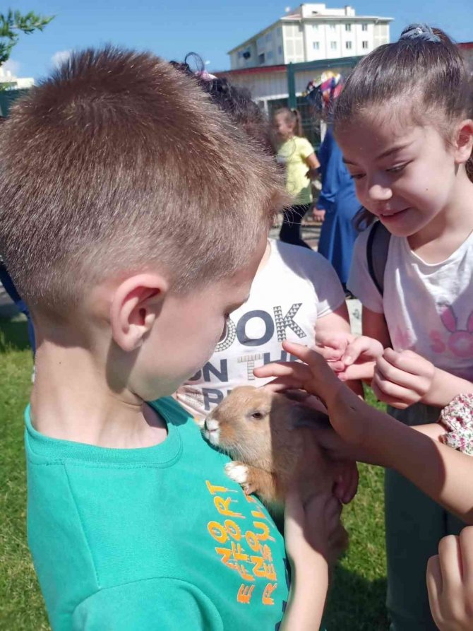 Minik dostlara sevginin yolu bu bahçeden geçiyor