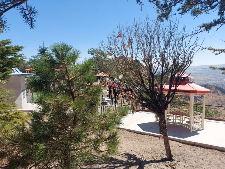 Cemevinin dilek ağacını yakan 2 kişiye gözaltı