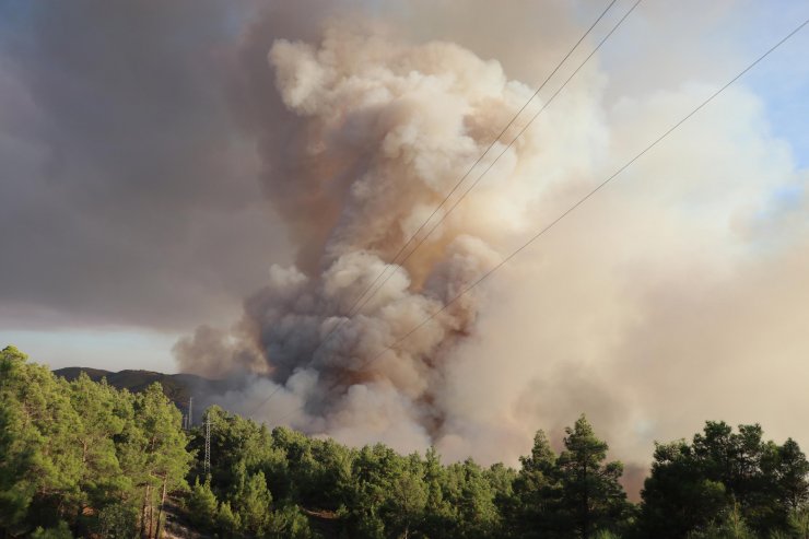 Denizli-Muğla sınırında çıkan orman yangını söndürüldü