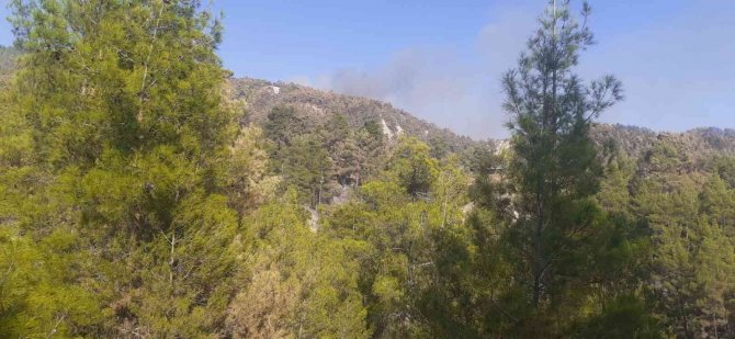 Söndürülen yangın zirveden patlak verdi