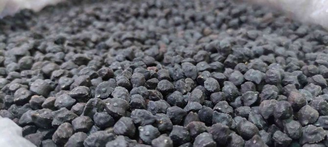 Tohumunu yurt dışından getirdi, büyük talep görüyor