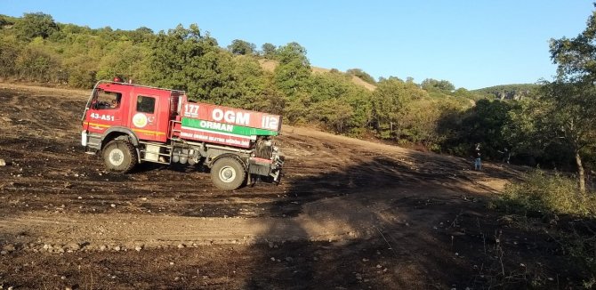 Yangında 3 dekar zirai alan zarar gördü