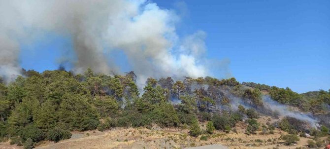 Antalya’da çıkan orman yangını kontrol altına alındı