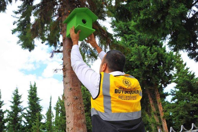 Atık ahşaplar kuşlara yuva oldu