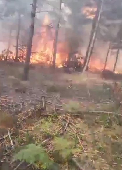 Tokat'ta orman yangını