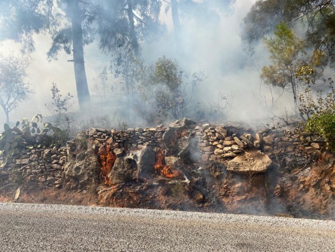 Alanya’da orman yangını