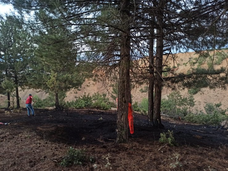 Bingöl'de orman yangını büyümeden kontrol altına alındı