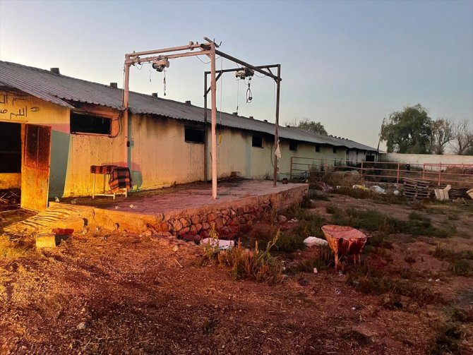 Konya'da besihanede yangın çıktı