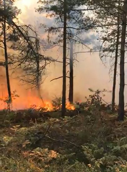 Tokat'ta dün söndürülen ormanda yeniden yangın çıktı
