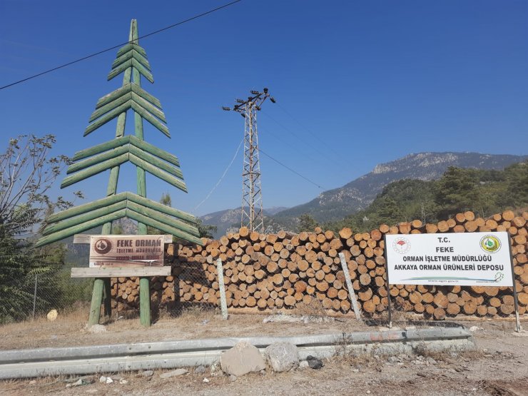 Tomrukların altında kalan orman işçisi, toprağa verildi