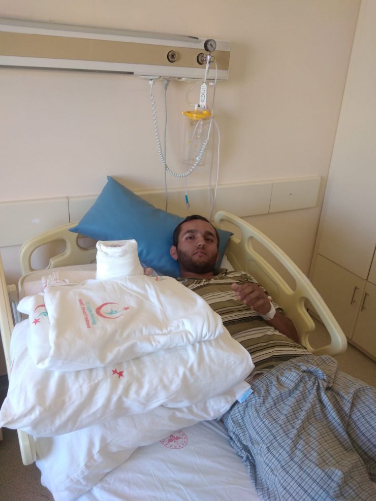 Çoban, ayı saldırısında yaralandı