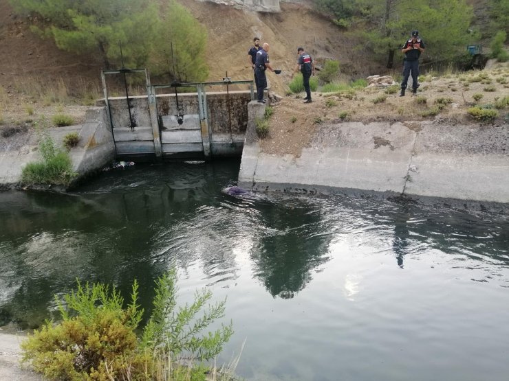 Muğla'da sulama kanalında kadın cesedi bulundu
