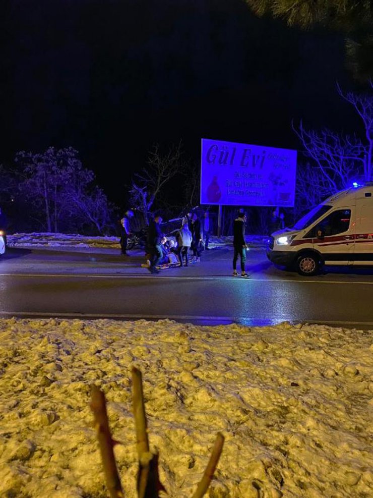 Rabia'nın öldüğü kaza raporunda sürücü 'kusursuz', başıboş köpeklerin saldırısı 'asli etken'