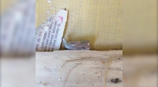 Fıstık bahçesindeki silahlı saldırı kamerada