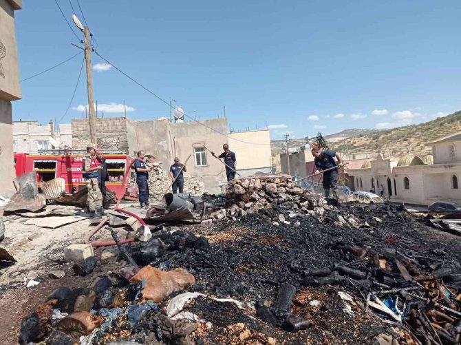 Kış gelmeden 2 ton odun yandı