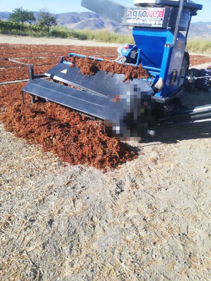 Çiftçinin feci ölümü: Üzüm kaldırma makinesinde hayatını kaybetti