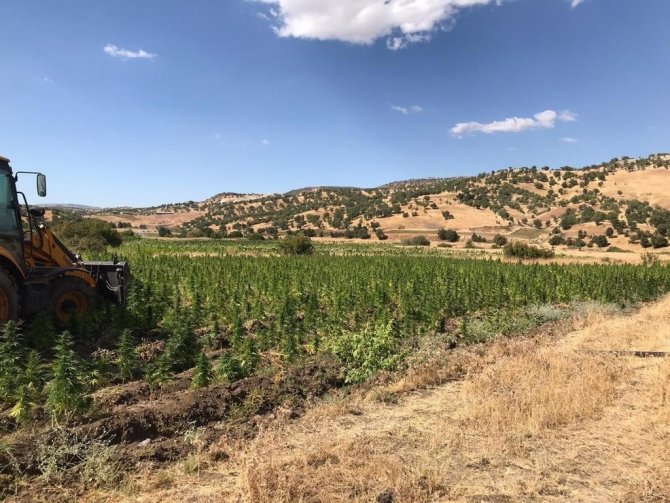 Eren Abluka operasyonunda tonlarca uyuşturucu ele geçirildi