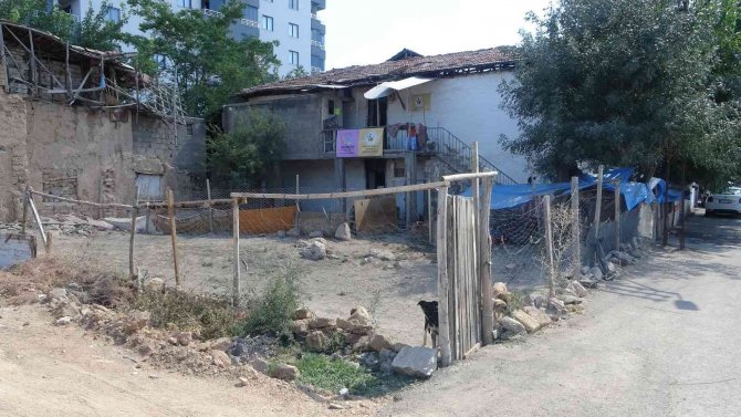 Tüm gelirini sokak hayvanlarına harcıyor