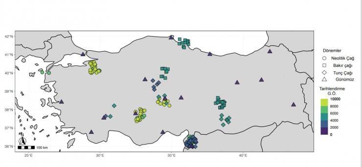 Obezite ve diyabetin tarihi antik DNA ile araştırılıyor