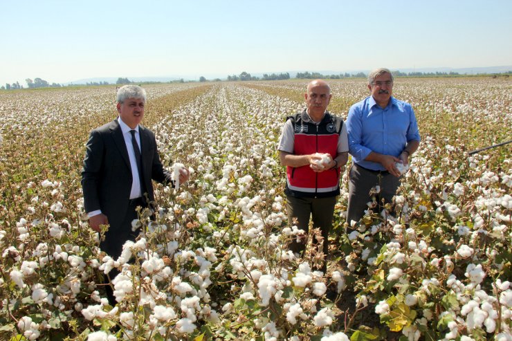 Bakan Kirişci: Dekar başına 76 lira olan desteği, 271 liraya yükselttik