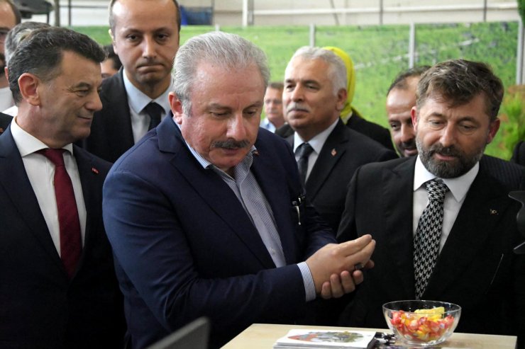 Şentop: Birlik ve dirliğimiz bozulursa, telafisi imkansız zararlar meydana gelecektir