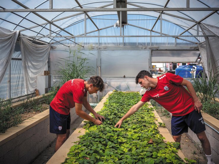 Alman medyasından Altınordu tesislerine övgü dolu sözler