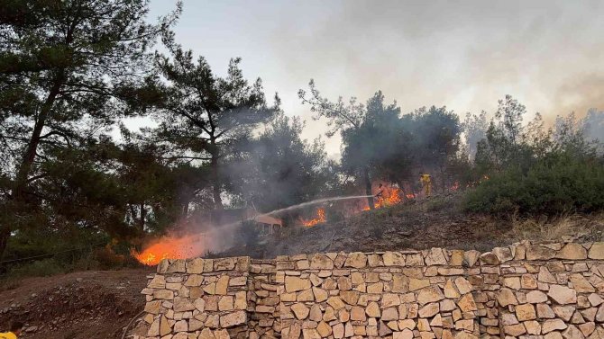 Hatay’da ormanlık alanda çıkan yangın söndürüldü