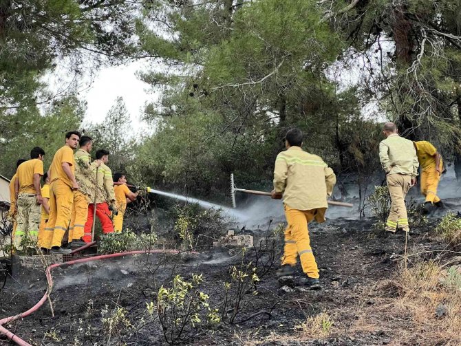Hatay’da ormanlık alanda çıkan yangın söndürüldü