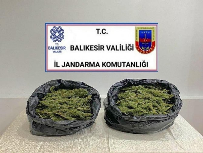 Balıkesir’de 52 kilo esrar ele geçirildi