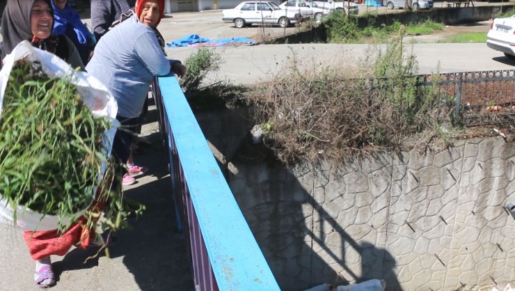 Çoban uyuyakaldı, sürü indiği derede mahsur kaldı