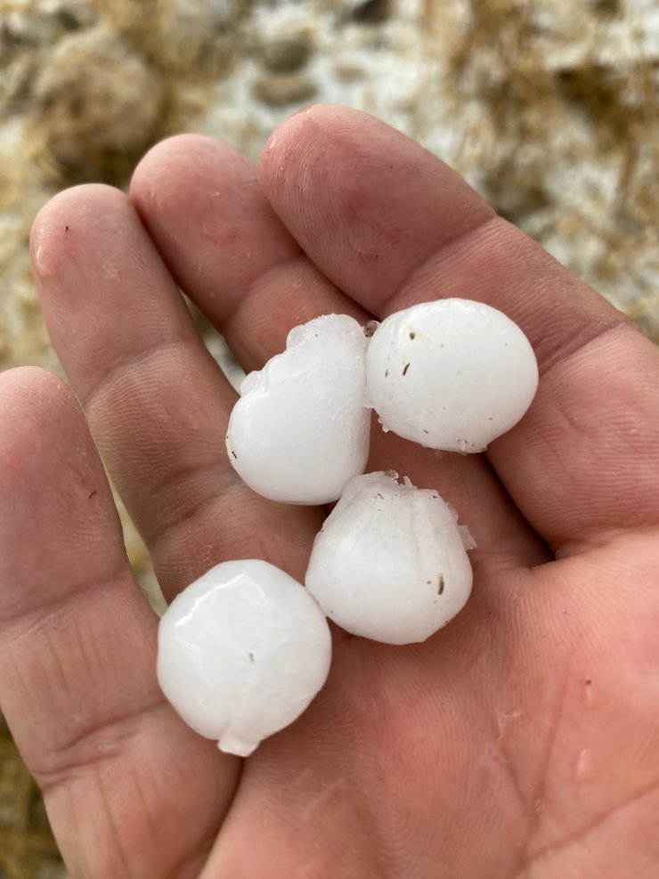 Niğde’de dolu yağışı elma bahçelerine zarar verdi