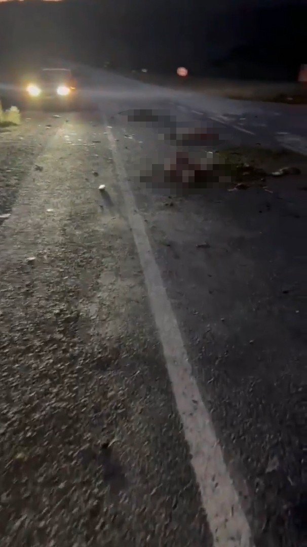 Otomobil sürüye daldı: 18 koyun telef oldu