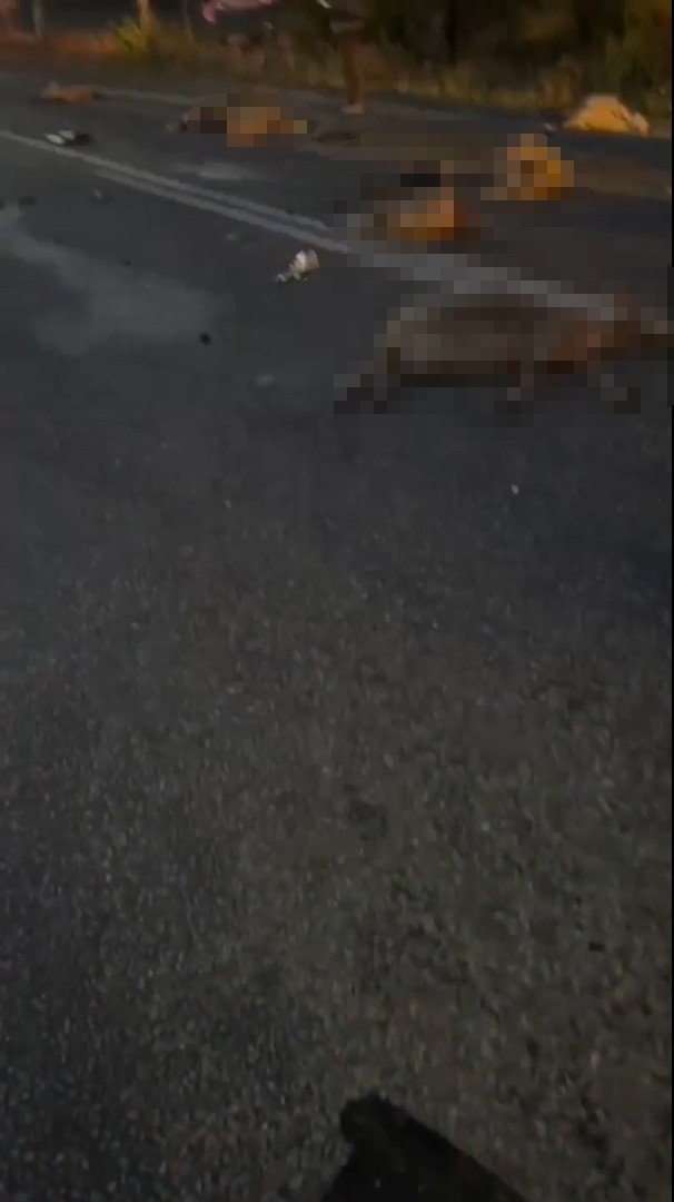 Otomobil sürüye daldı: 18 koyun telef oldu