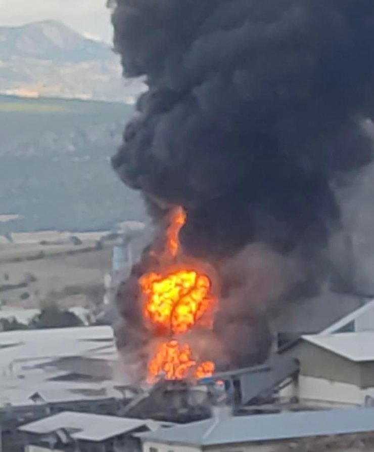 Orman ürünleri fabrikasında çıkan yangın söndürüldü
