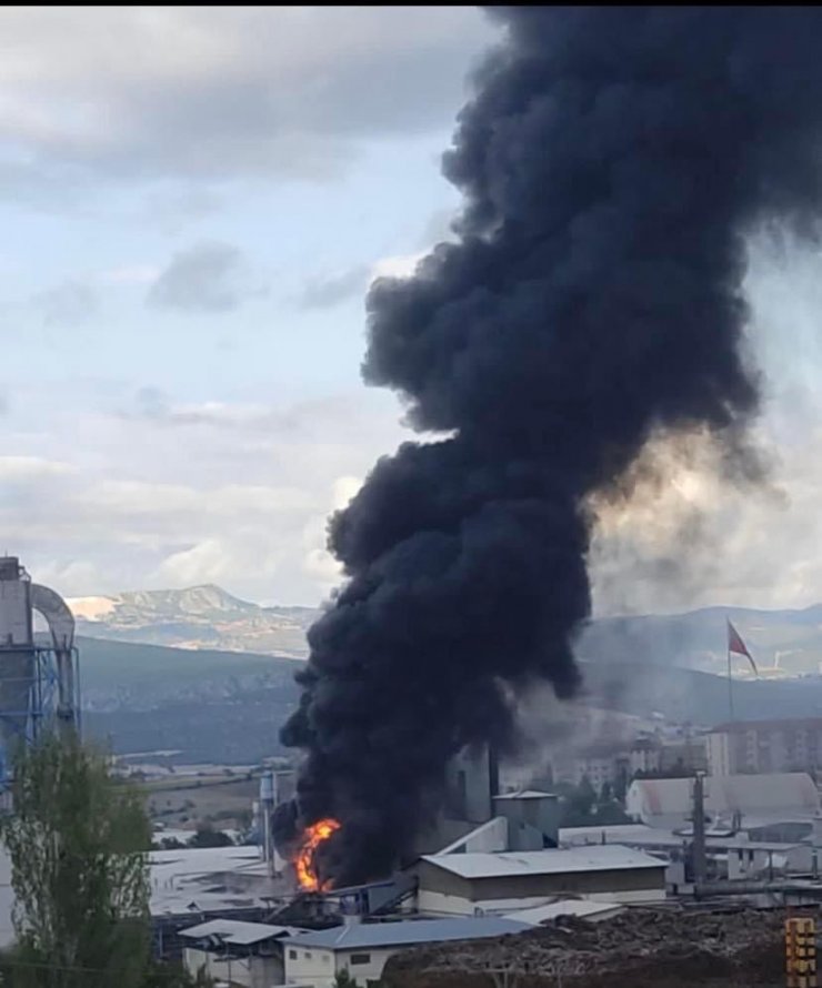 Orman ürünleri fabrikasında çıkan yangın söndürüldü