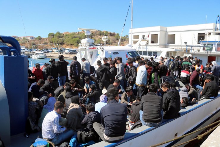 Balıkçı teknesinde 231 kaçak göçmen yakalandı