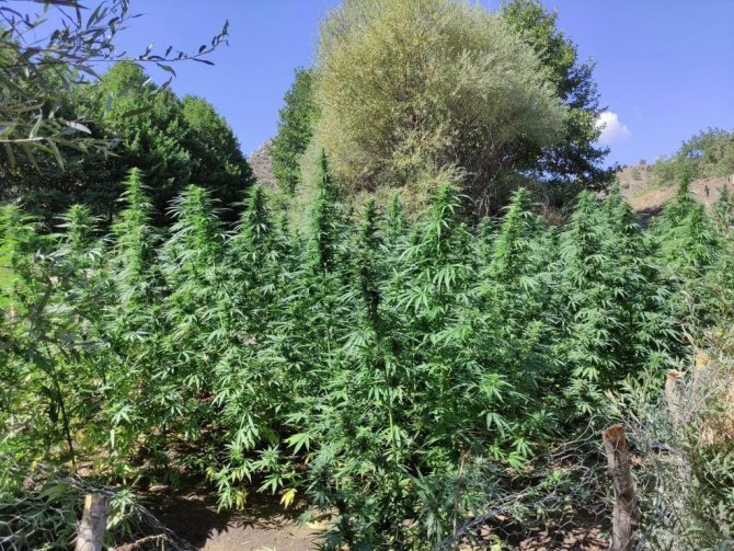 Eren Abluka-34 Narko Terör Operasyonları kapsamında 62 ayrı noktaya operasyon