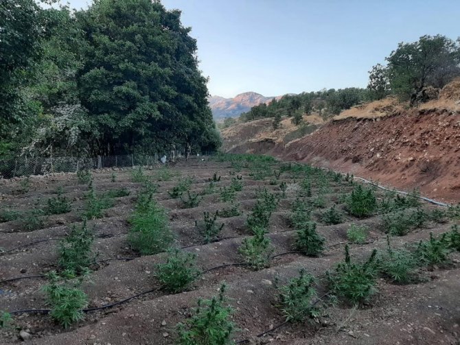 Eren Abluka-34 Narko Terör Operasyonları kapsamında 62 ayrı noktaya operasyon