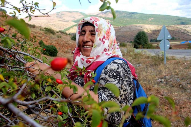 Kış aylarının vazgeçilmezi, bağışıklık sistemini güçlendirip cildi yeniliyor