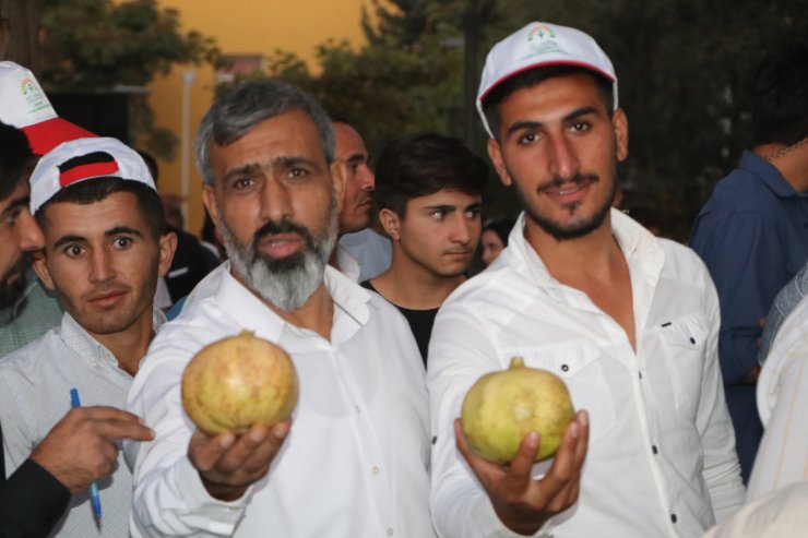 Bakan Soylu’ya ‘Suruç’ isimli yarış atı hediye edildi